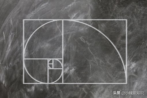 斐波那契数列生活应用_斐波那契数列生活中有哪些应用_斐波那契数列应用于生活