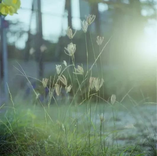 生活逆向思维应用故事_逆向思维应用_生活问题解决技巧