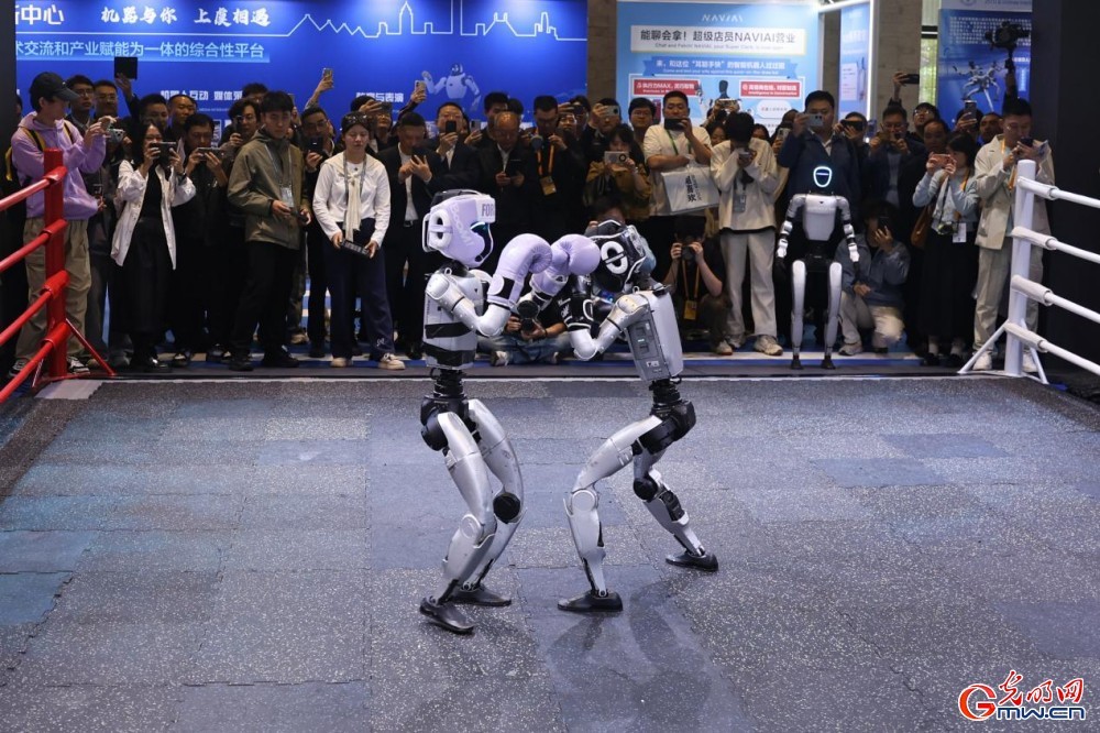 透过乌镇看世界，携手走向数智未来——来自2025年世界互联网大会乌镇峰会的观察