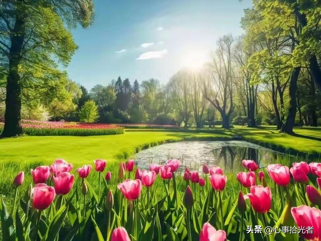 成熟的感情里的真诚坚持_人生旅途中的温柔时光_遇见你很幸福的句子