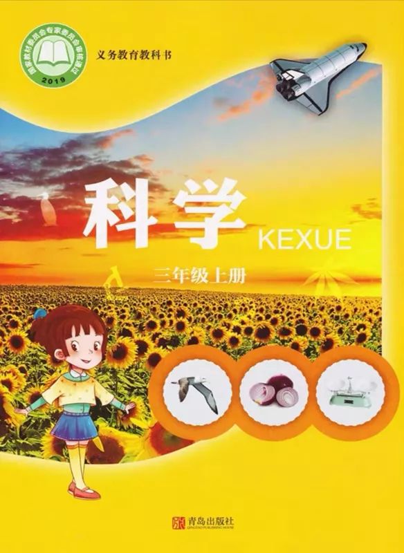 听诊器原理生活应用_应用挂载器原理_心脏听诊区及听诊顺序