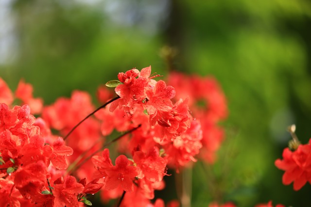 遇见你很幸福的句子_爱上你是生命中最自然的事情_遇见你生命中最美丽的奇迹