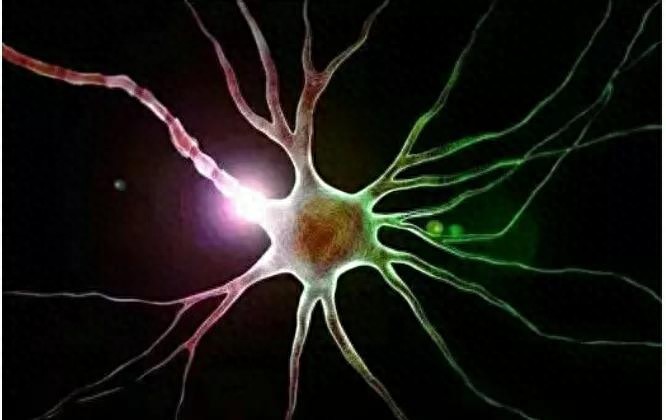 “世界观”，你真的知道？