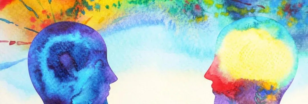 知觉哲学_知觉的基本特征 生活应用_跨域知觉哲学研究