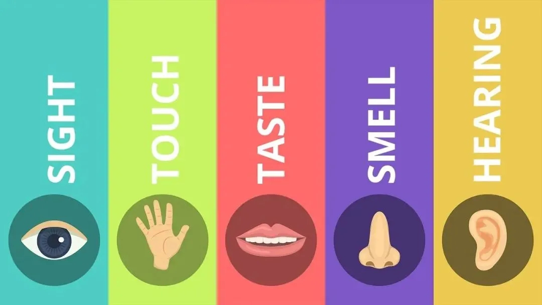 知觉哲学_跨域知觉哲学研究_知觉的基本特征 生活应用