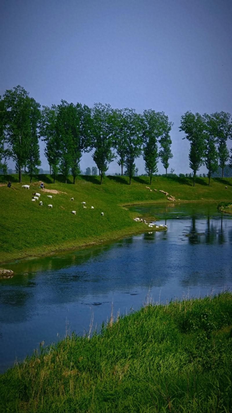 pg下载 没实力的人脉，终究是一场空