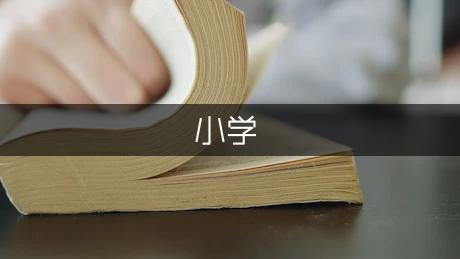 小学四年级数学上册《除数是两位数除法整理和复习》的教学反思（汇总2篇）