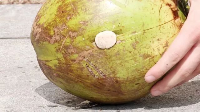 牛顿流体实验怎么做的_非牛顿流体生活应用_牛顿流体的应用