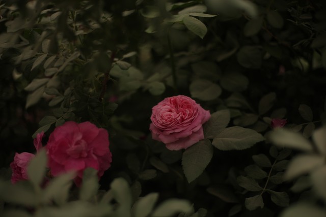 人际交往心理学_蔡格尼克效应生活应用_蔡格尼克效应