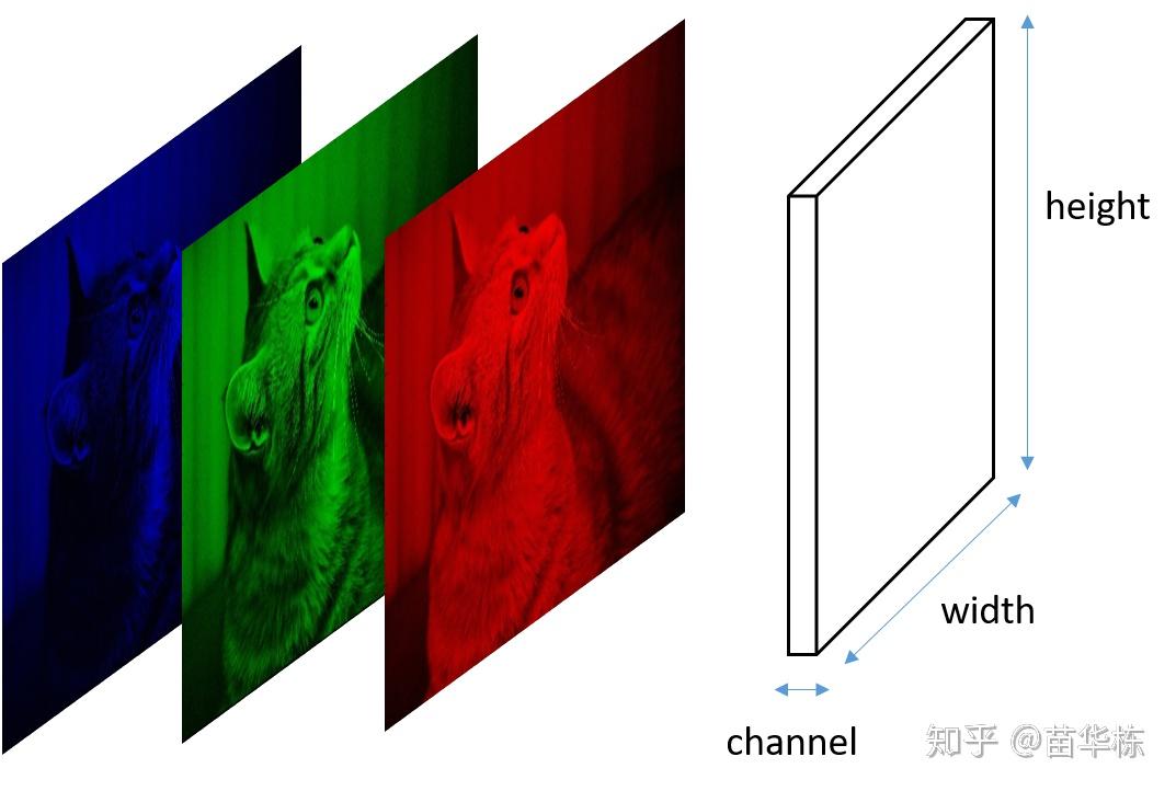 卷积在生活应用_卷积神经网络原理_CNN图像识别应用