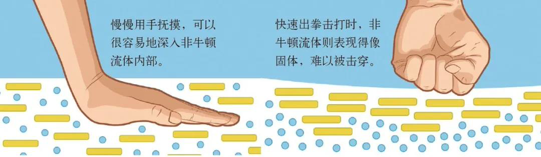 pg下载 梦幻书院️ 科学小记者讲堂-非牛顿流体：你柔它也柔，你强它则刚