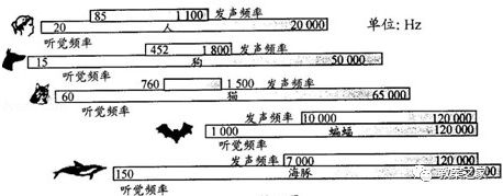 外围应用配置器_听诊器原理生活应用_心脏听诊中心房颤动的听诊特点