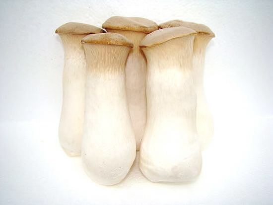 挑选蔬菜技巧_芹菜叶柄的横切面图片_蔬菜新鲜度辨别方法