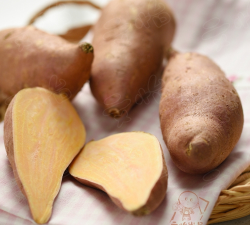 芹菜叶柄的横切面图片_蔬菜新鲜度辨别方法_挑选蔬菜技巧