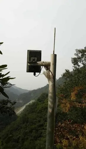 无线电能传输的生活应用_微波无线电能传输技术发展历程_微波无线电能传输技术原理