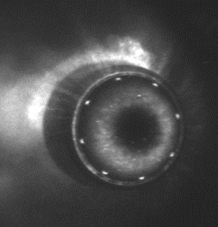 电磁炮生活应用_膛线代价_膛线作用