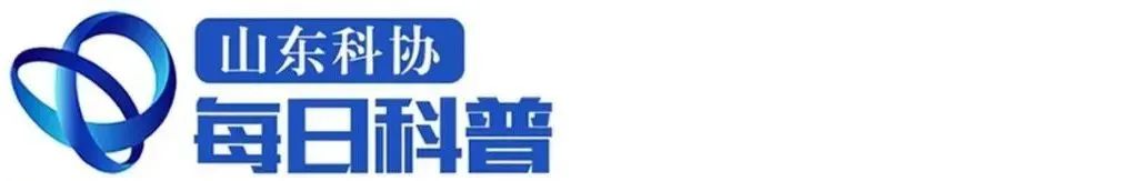 pg下载 【山东科协每日科普】人脸识别、图像搜索、自动驾驶……你了解AI图像识别是如何工作的吗？