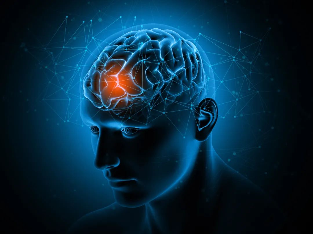 卷积神经网络在图像识别中的应用_卷积在生活应用_卷积神经网络是什么原理