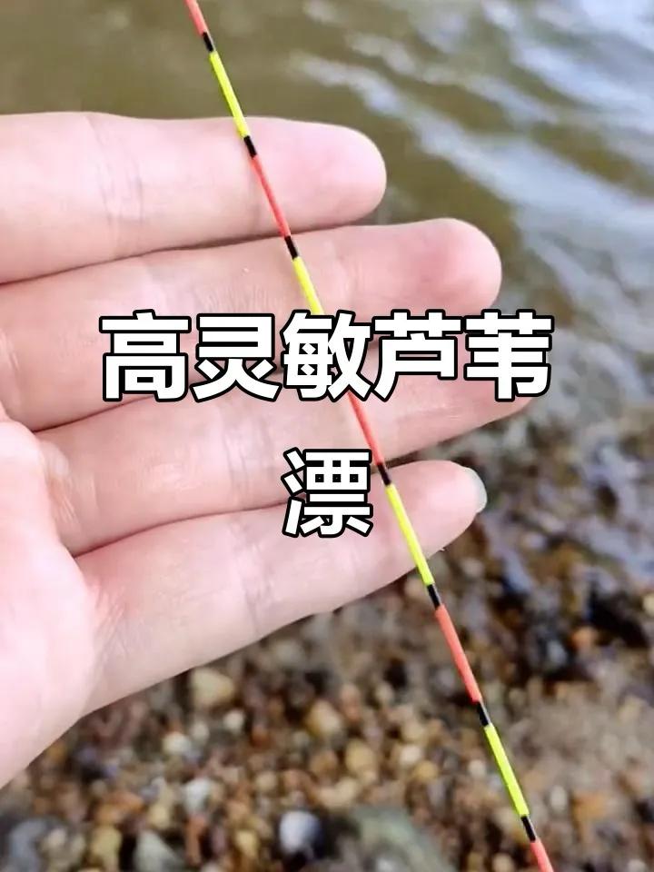 鲫鱼吃饵信号解读_用红虫钓鱼怎么调漂_野钓鲫鱼调漂法