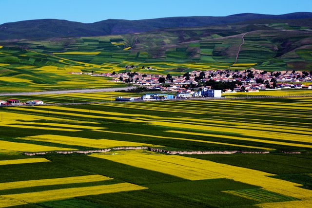 遇见你，我的幸福_遇见的温暖_人生若只如初见