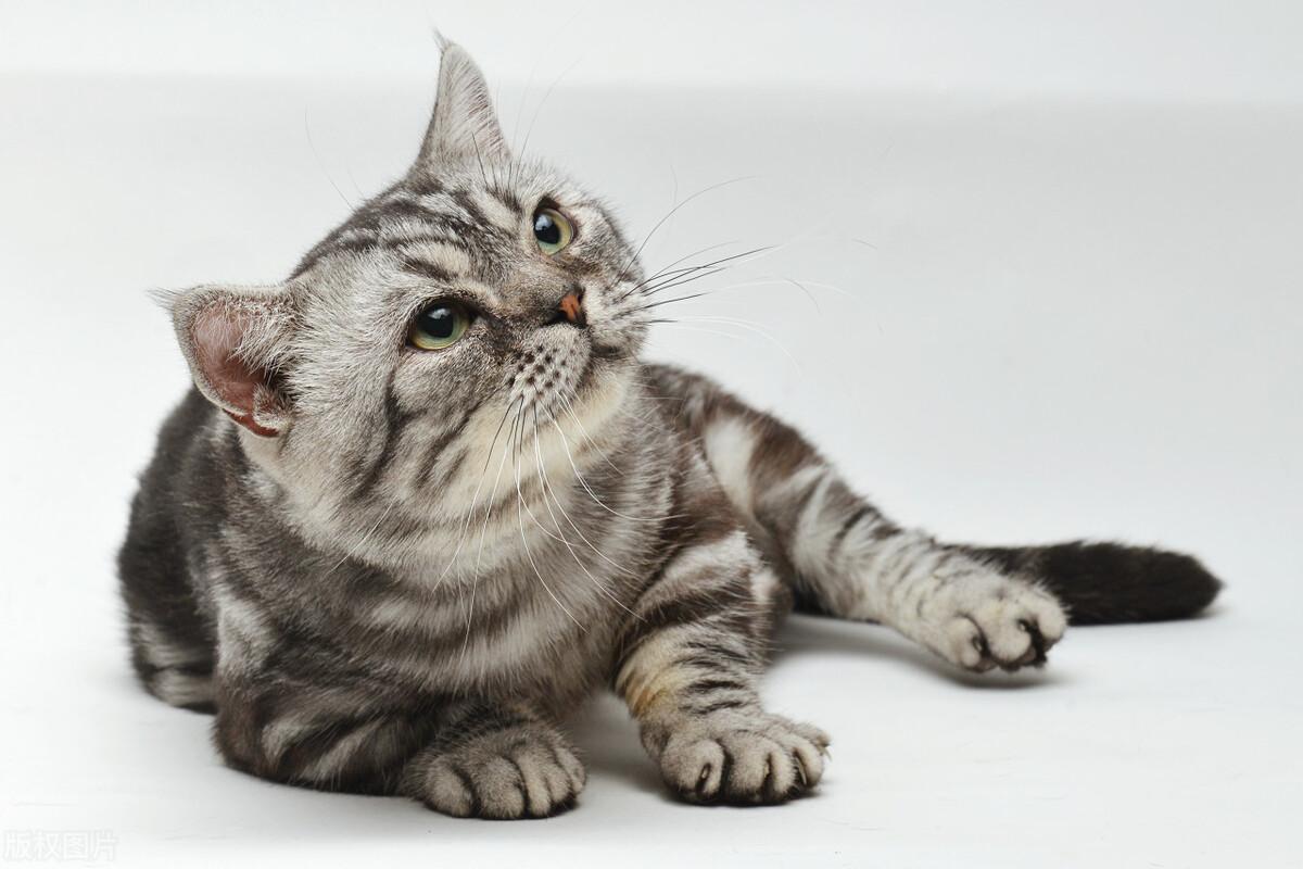 海水颜色原理_生活应用方面的知识_植物生长素