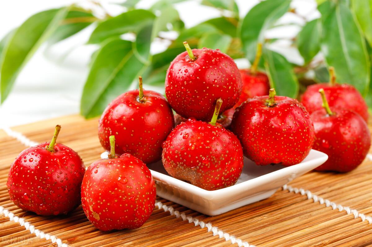 生活应用方面的知识_海水颜色原理_植物生长素