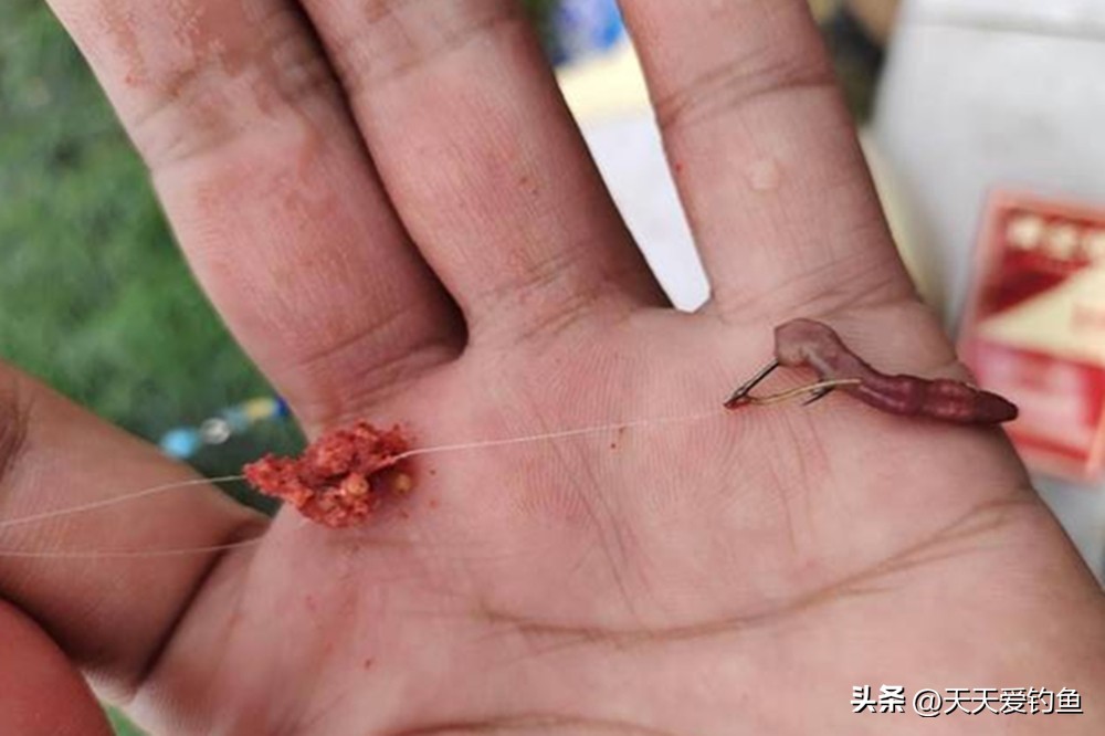 鱼钩挂红虫调漂_极钝调漂技巧_悬坠钓调漂方法