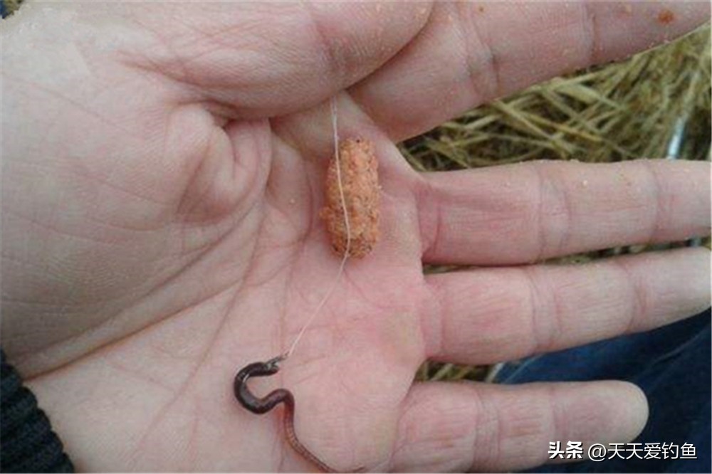 台钓调漂方法_传统钓调漂方法_鱼钩挂红虫调漂