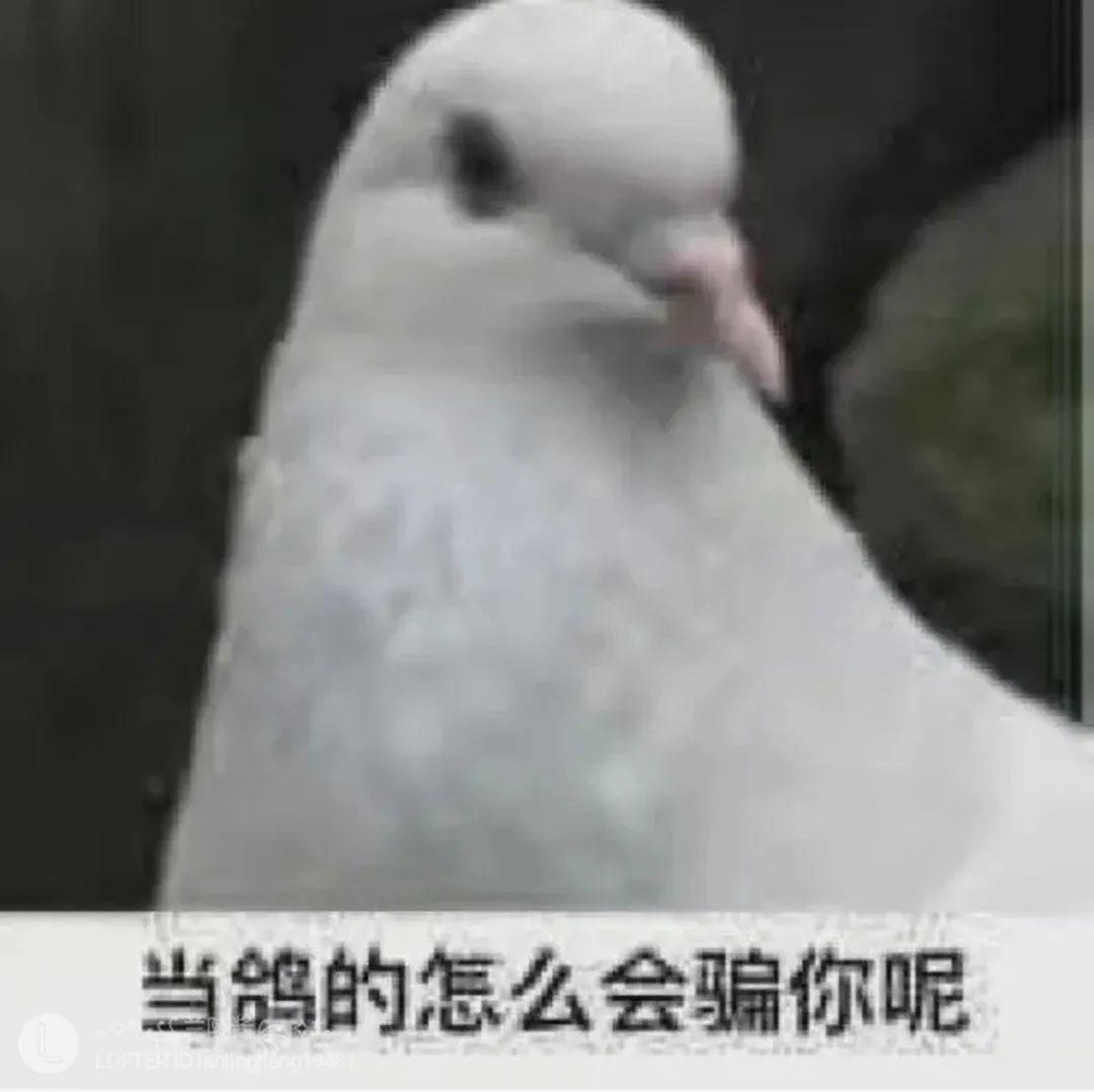 牛顿流体举例子_牛顿流体的原理是什么_非牛顿流体生活应用