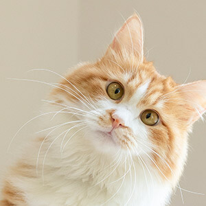 员工上班玩游戏公司如何处理_公司上班玩游戏扣钱合法吗_不玩游戏被扣薪水新闻