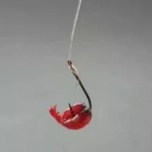 用红虫的调漂方法及技巧