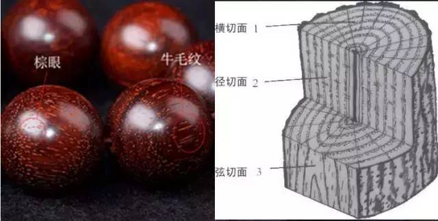 牛毛纹棕眼金星金丝_小叶紫檀名词解释_金丝楠老料横切面图片