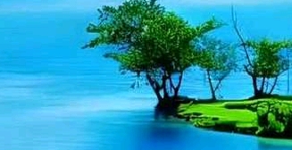 十四五规划对日常生活的影响_数字生活十四五规划改变_网络改变生活有什么应用