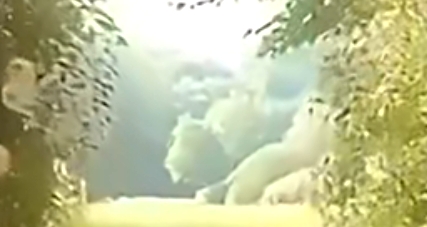 数字生活十四五规划改变_网络改变生活有什么应用_十四五规划对日常生活的影响