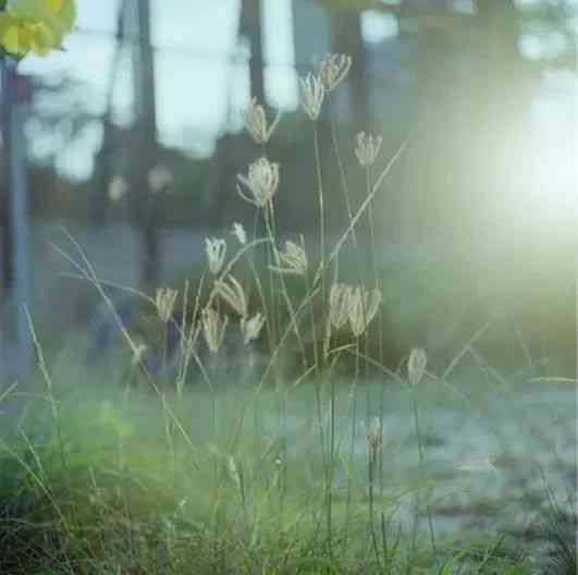 生活逆向思维应用故事_逆向思维小故事_换个角度看问题