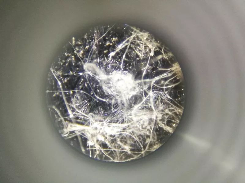 黑科技应用排行榜_生活黑科技应用_搜罗全网黑科技应用