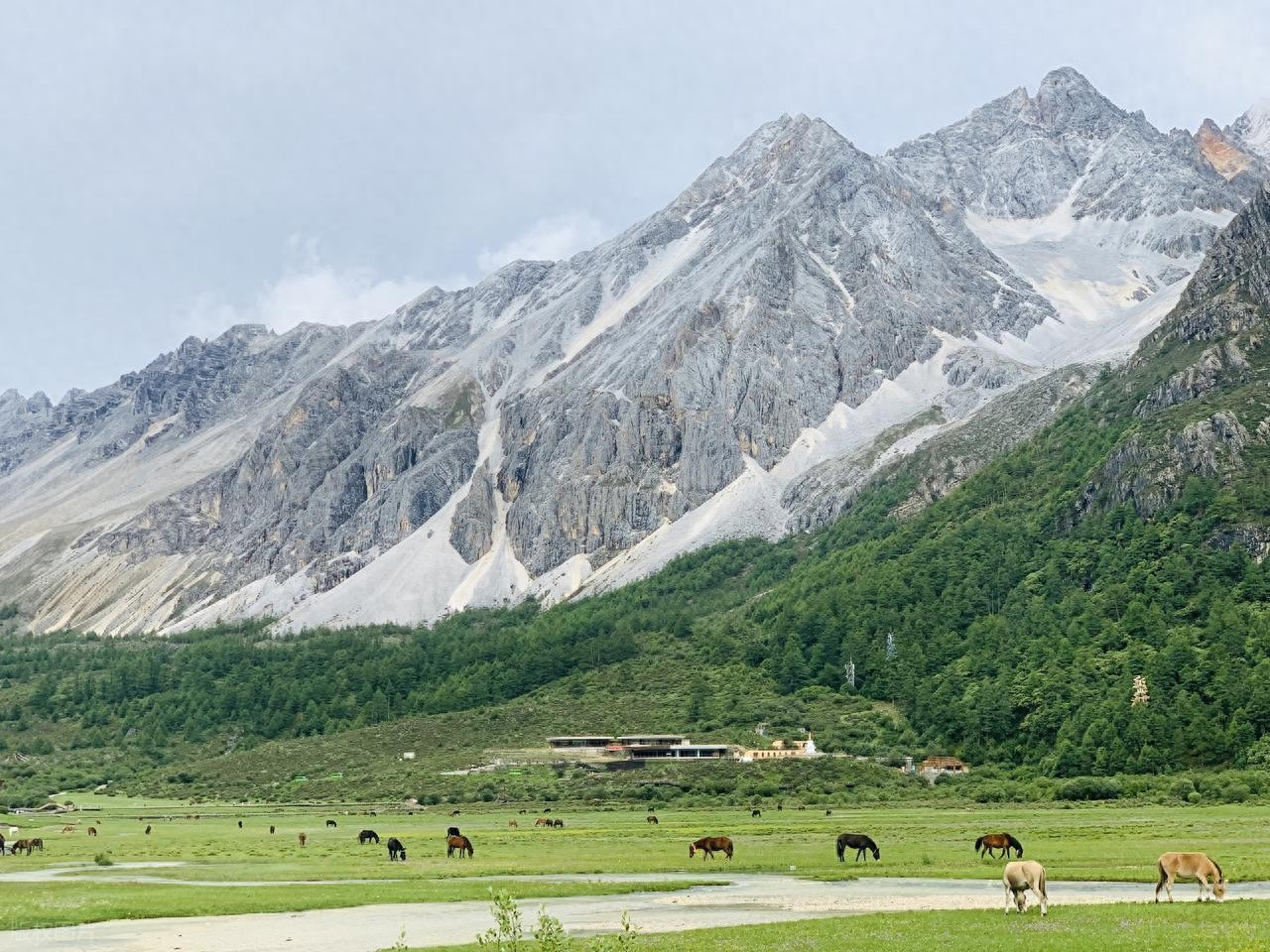 15个字识别细菌性病害