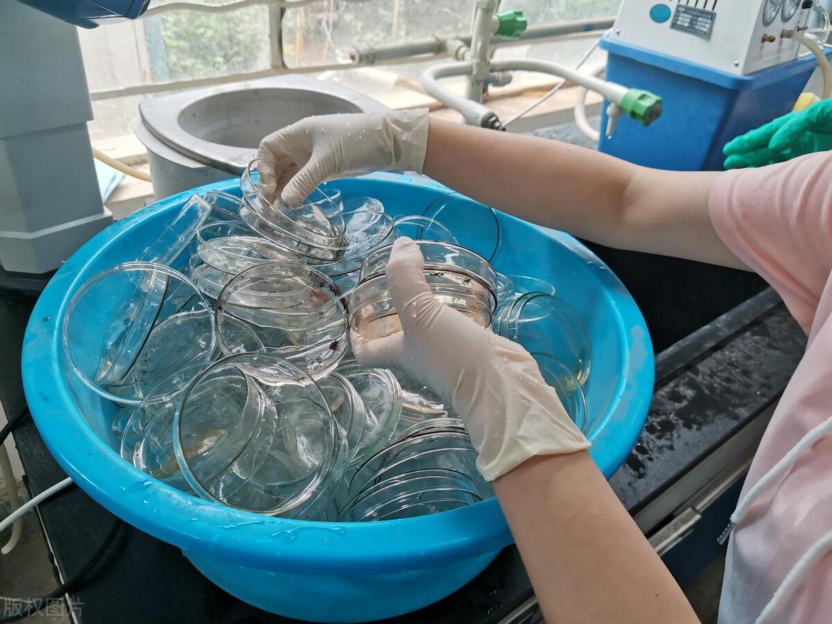 听诊器原理生活应用_超声波医疗应用_超声波工业探伤