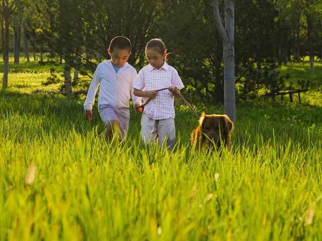 不和别人人情往来_兄弟姐妹关系修复_中年兄弟姐妹相处之道