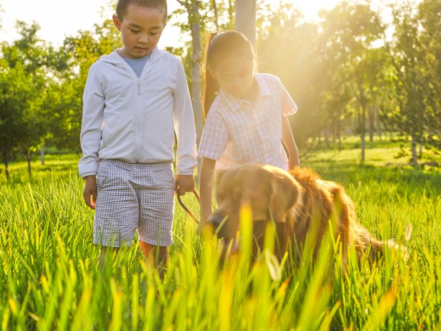 兄弟姐妹关系修复_不和别人人情往来_中年兄弟姐妹相处之道
