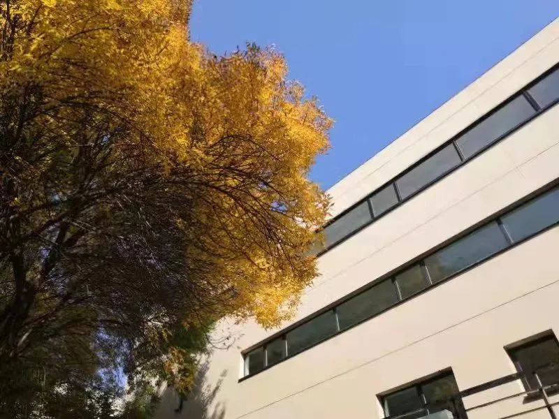 pg下载麻将胡了A.旗舰厅进体育.cc 行政事业单位往来款项成因及对策