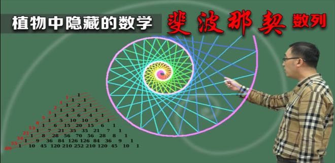 神奇的斐波那契数列
